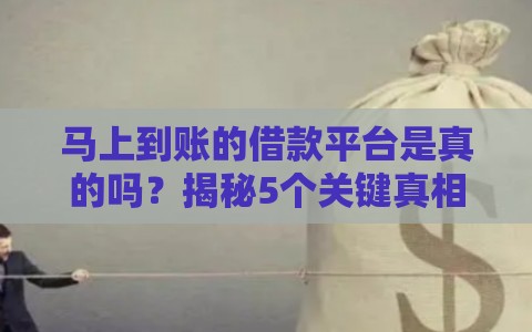 马上到账的借款平台是真的吗？揭秘5个关键真相