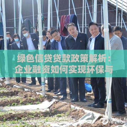 征信黑了还能开公司吗？3个关键点帮你破局