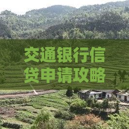 交通银行信贷申请攻略：条件、流程及产品优势解析