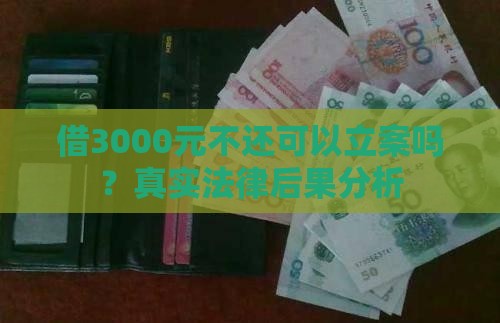 借3000元不还可以立案吗？真实法律后果分析