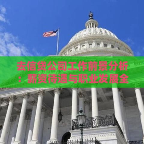 去信贷公司工作前景分析：薪资待遇与职业发展全解读