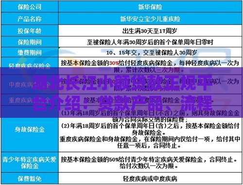 湖北长江小额贷款正规平台介绍：贷款产品、流程及条件