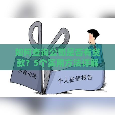 如何查询公司是否有贷款？5个实用方法详解