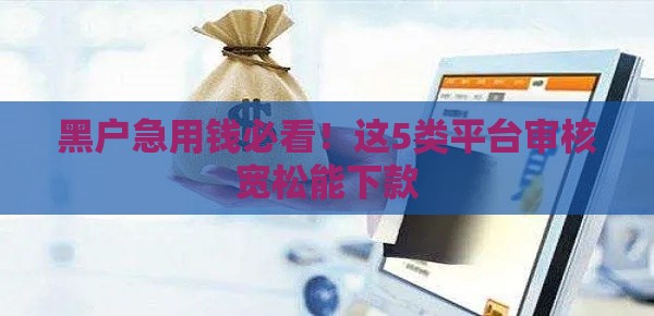 黑户急用钱必看！这5类平台审核宽松能下款