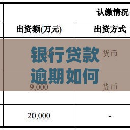 银行贷款逾期如何处理?5个实用解决步骤帮你化解危机 银行贷款逾期如何处理?5个实用解决步骤帮你化解危机
