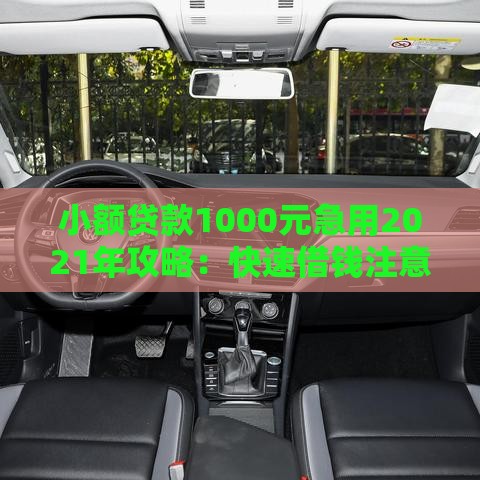 小额贷款1000元急用2021年攻略：快速借钱注意事项