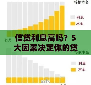 信贷利息高吗？5大因素决定你的贷款成本