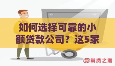 如何选择可靠的小额贷款公司？这5家正规平台值得推荐！