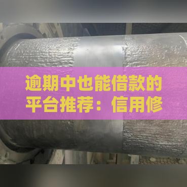 逾期中也能借款的平台推荐：信用修复与应急贷款指南