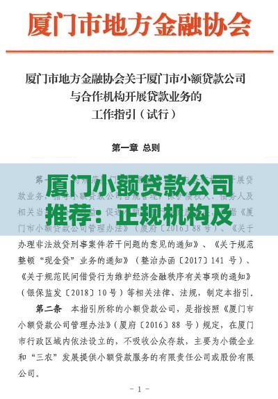 厦门小额贷款公司推荐：正规机构及申请攻略