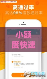 小额度快速下款平台推荐，急用钱必看攻略