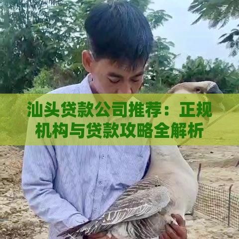 汕头贷款公司推荐：正规机构与贷款攻略全解析