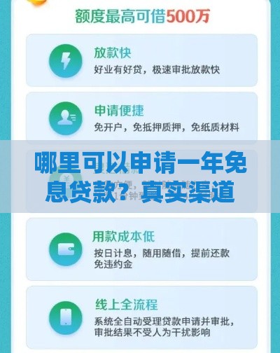 哪里可以申请一年免息贷款？真实渠道与避坑指南