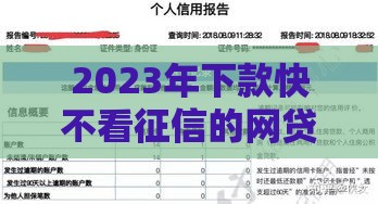 2023年下款快不看征信的网贷平台推荐及申请攻略