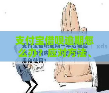 支付宝借呗逾期怎么办？应对方法、后果解析及补救攻略