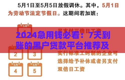 2024急用钱必看：7天到账的黑户贷款平台推荐及避坑指南