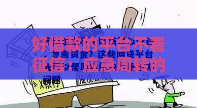 好借款的平台不看征信：应急周转的靠谱选择