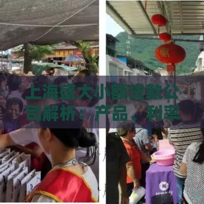 上海盛大小额贷款公司解析：产品、利率、申请流程全攻略