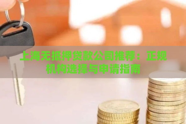 上海无抵押贷款公司推荐：正规机构选择与申请指南