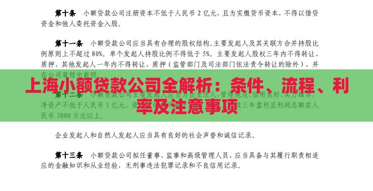 上海小额贷款公司全解析：条件、流程、利率及注意事项