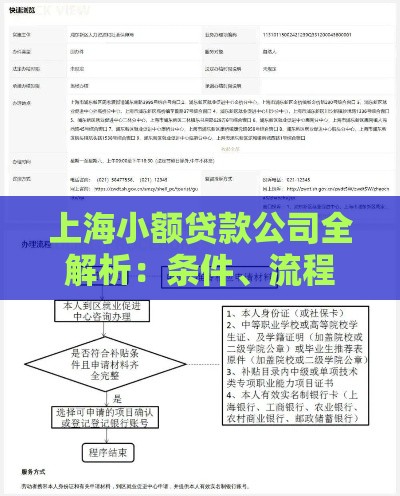 上海小额贷款公司全解析：条件、流程、利率及注意事项