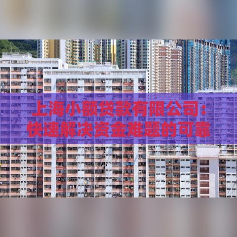 上海小额贷款有限公司：快速解决资金难题的可靠选择