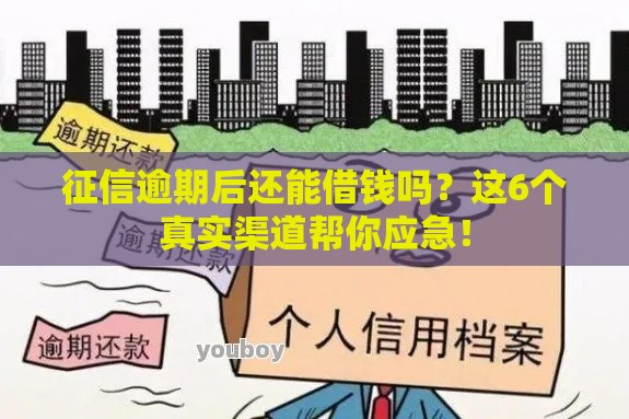 征信逾期后还能借钱吗？这6个真实渠道帮你应急！