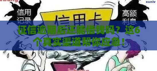 征信逾期后还能借钱吗？这6个真实渠道帮你应急！