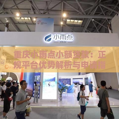 重庆小雨点小额贷款：正规平台优势解析与申请指南