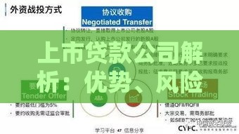 上市贷款公司解析：优势、风险与选择指南