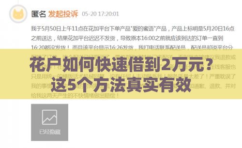 花户如何快速借到2万元？这5个方法真实有效