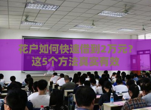 花户如何快速借到2万元？这5个方法真实有效