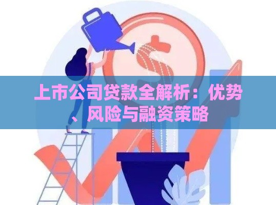 上市公司贷款全解析：优势、风险与融资策略