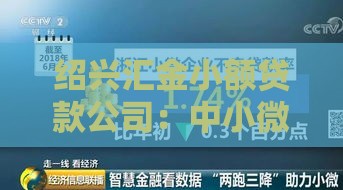 绍兴汇金小额贷款公司：中小微企业主融资指南