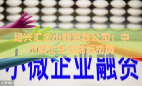 绍兴汇金小额贷款公司：中小微企业主融资指南