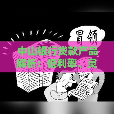 中山银行贷款产品解析：低利率、灵活还款，快速审批全攻略