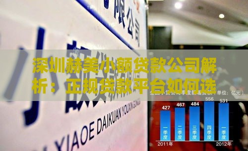深圳赫美小额贷款公司解析：正规贷款平台如何选？
