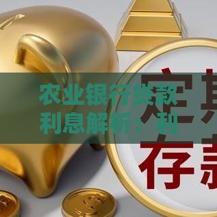 农业银行贷款利息解析：利率计算、优惠政策及申请指南