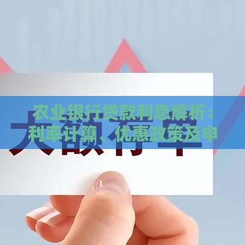 农业银行贷款利息解析：利率计算、优惠政策及申请指南