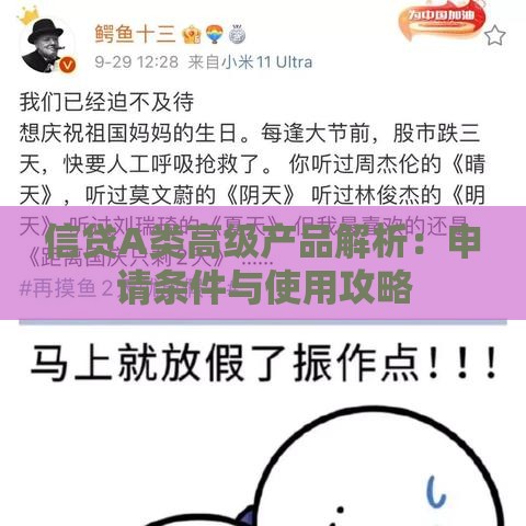 信贷A类高级产品解析：申请条件与使用攻略