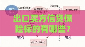 出口买方信贷保险标的有哪些？核心风险与保障解析
