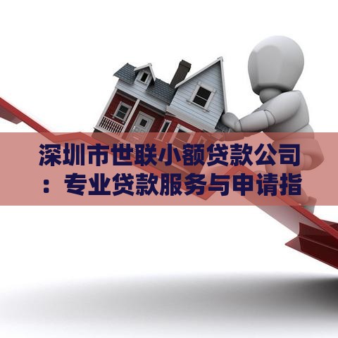 深圳市世联小额贷款公司：专业贷款服务与申请指南