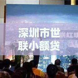 深圳市世联小额贷款公司：专业贷款服务与申请指南