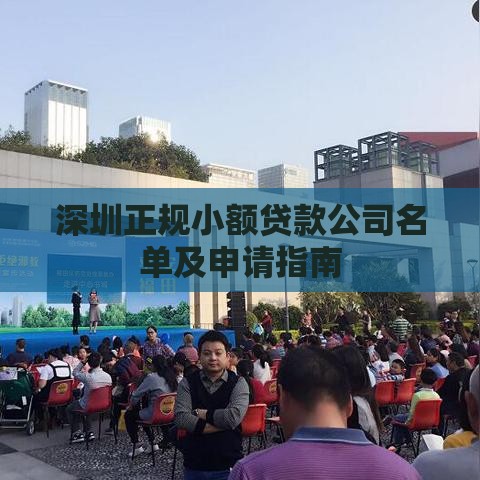 深圳正规小额贷款公司名单及申请指南