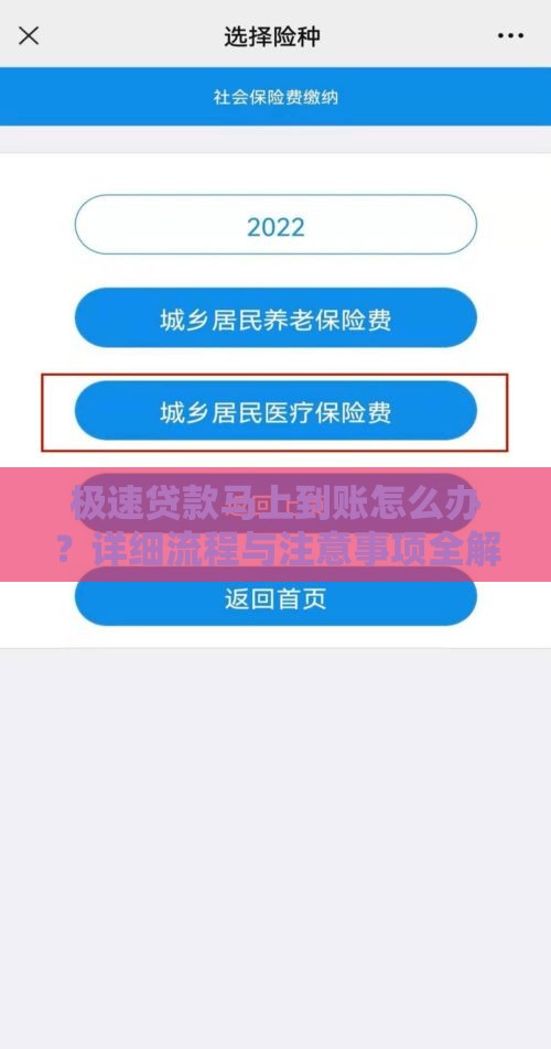 极速贷款马上到账怎么办？详细流程与注意事项全解析