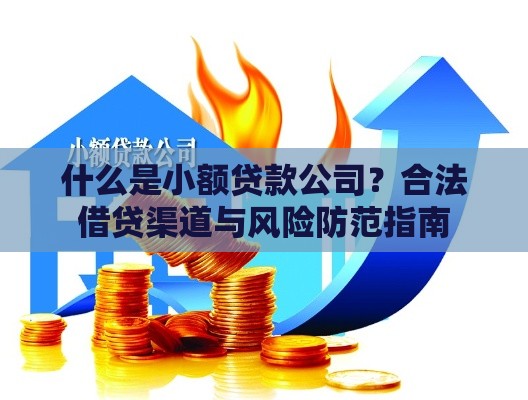 什么是小额贷款公司？合法借贷渠道与风险防范指南