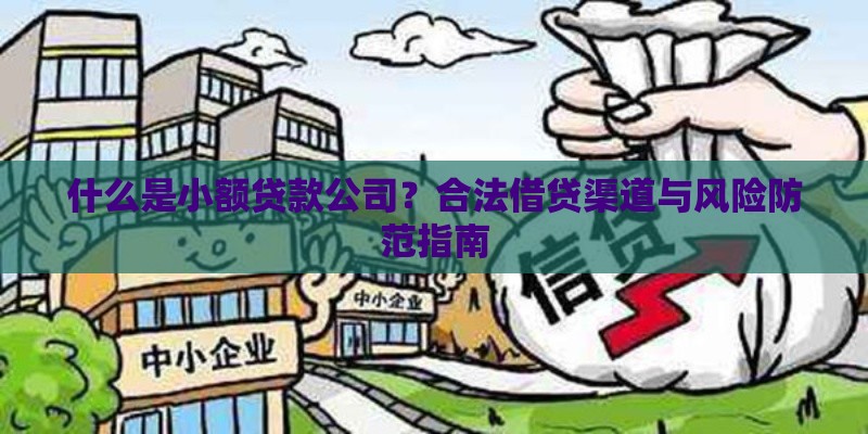 什么是小额贷款公司？合法借贷渠道与风险防范指南