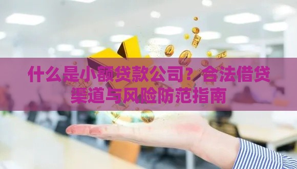 什么是小额贷款公司？合法借贷渠道与风险防范指南