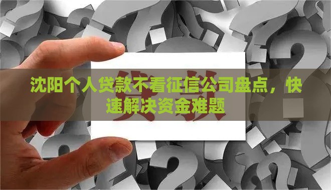 沈阳个人贷款不看征信公司盘点,快速解决资金难题 沈阳个人贷款不看征信公司盘点,快速解决资金难题