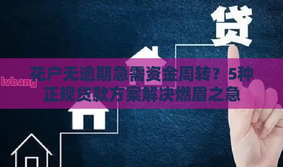 花户无逾期急需资金周转？5种正规贷款方案解决燃眉之急